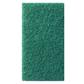 Twister Hand Pad - Green 1x2Stk. - 25 x 12.5 cm - Grün - Zur händischen Bearbeitung bzw. zur Verwendung mit dem Randreinigungsgerät
